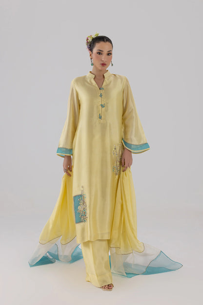 Daisy